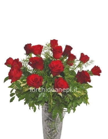 Bouquet di 12 rose rosse cm 40/50 confezionato.